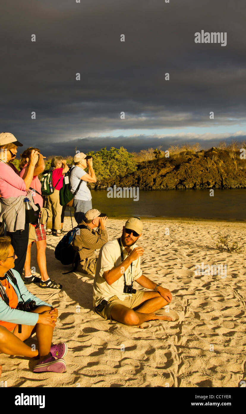 Les touristes de prendre des photos à l'étang de Las Bachas Flamingo Beach, Santa Cruz Island, îles Galapagos, Equateur Banque D'Images