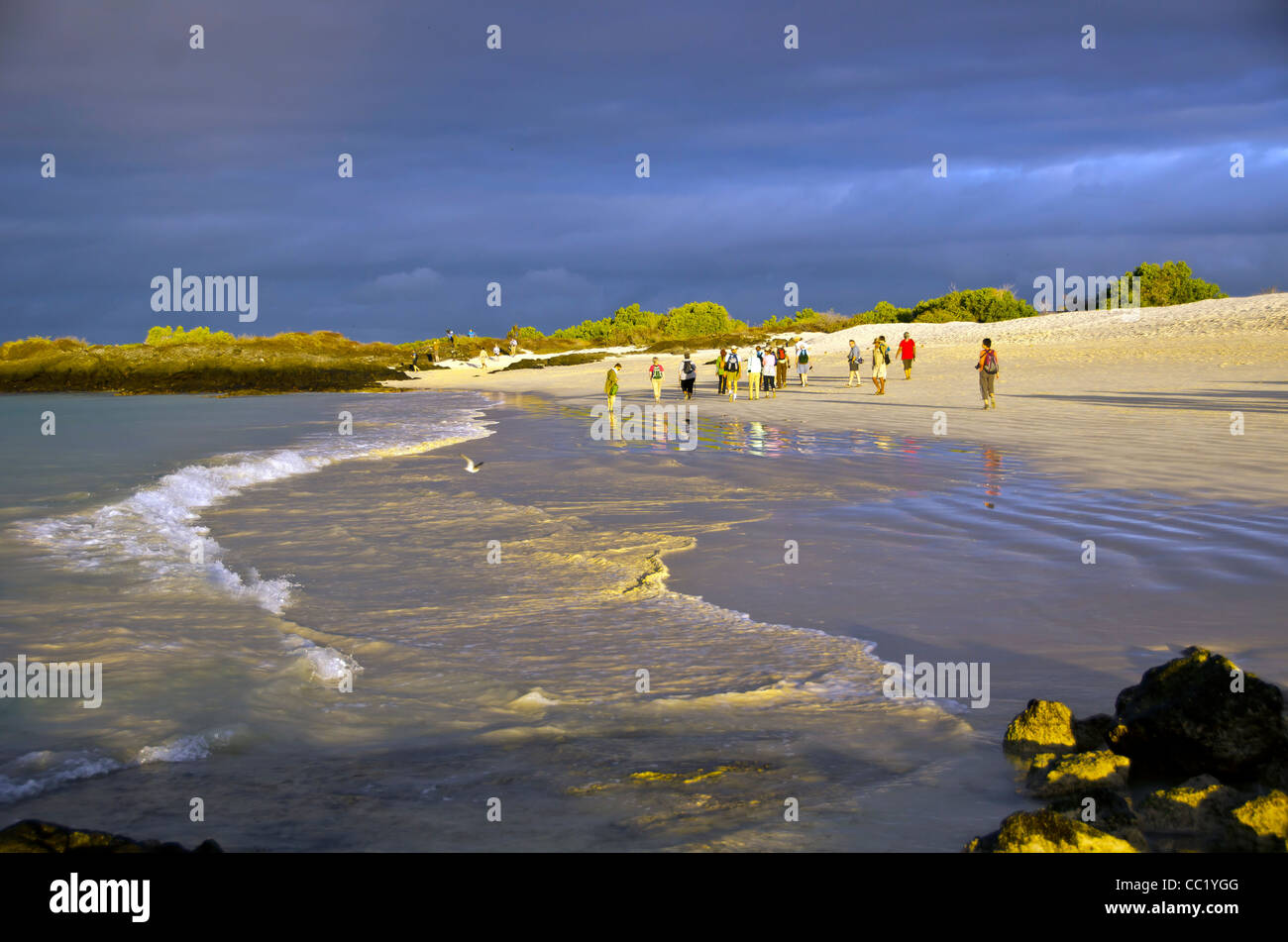 Les touristes la marche sur la plage Las Bachas, Santa Cruz Island, îles Galapagos, Equateur Banque D'Images