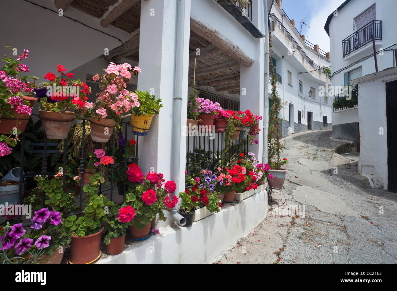 Des fleurs sur la rue de village blanc à Las Alpujarras en Andalousie, Espagne Banque D'Images