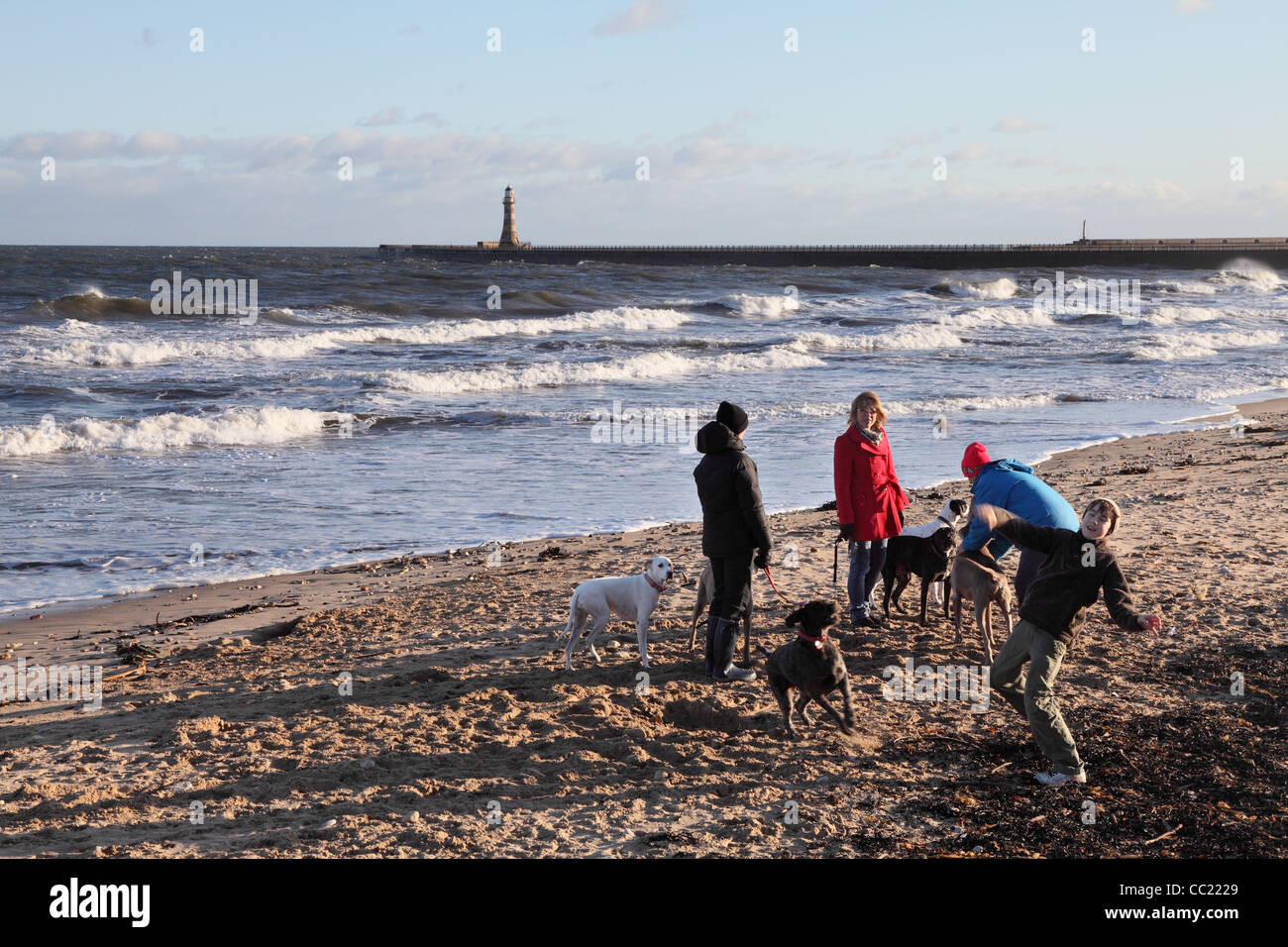 Boy throwing ball pour chien avec groupe de personnes et de chiens sur newgale North East England, UK Banque D'Images