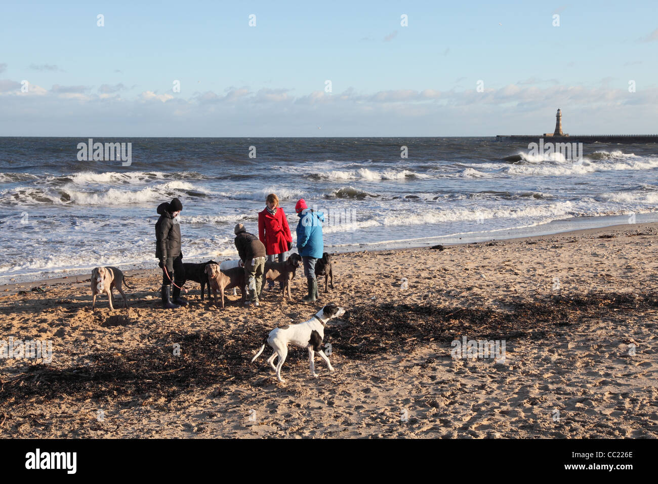 Groupe de personnes avec des chiens Roker beach, North East England, UK Banque D'Images