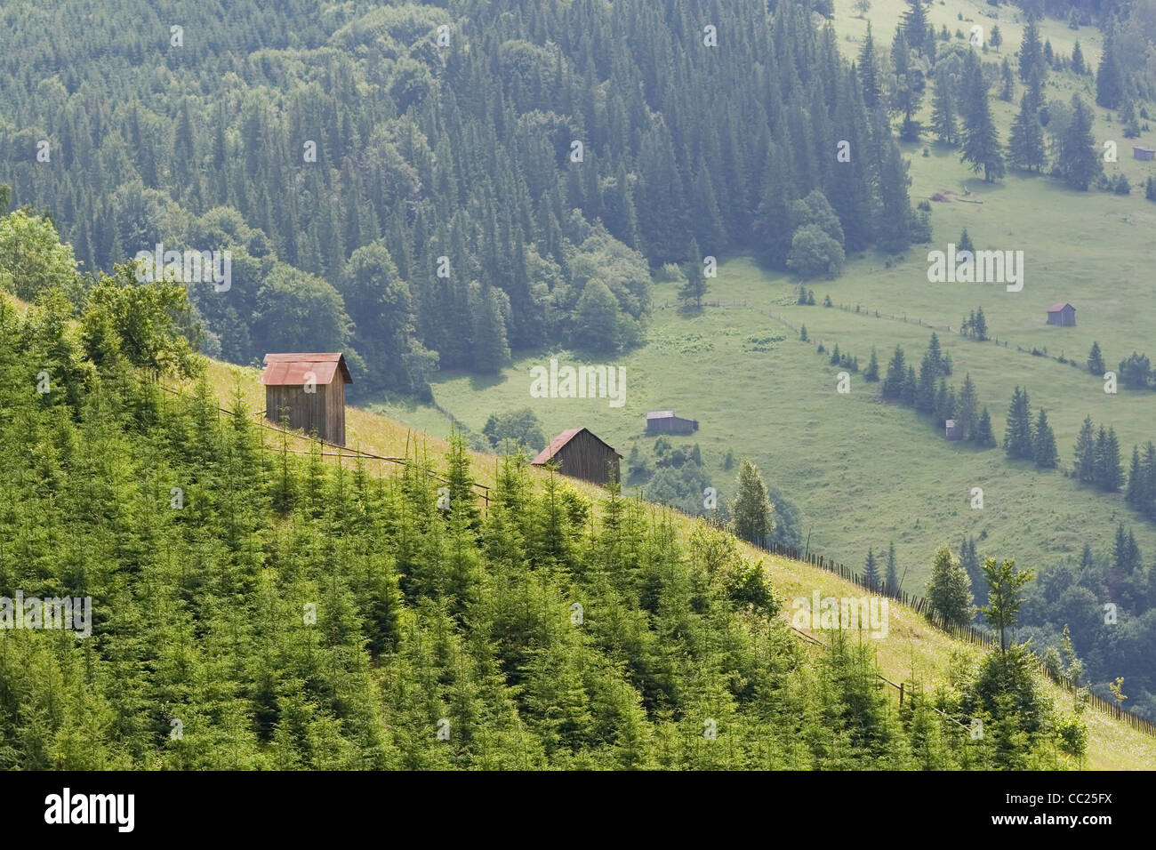 Les montagnes Rarau partie de l'Est des Carpates, Bucovine du Sud, Roumanie Banque D'Images