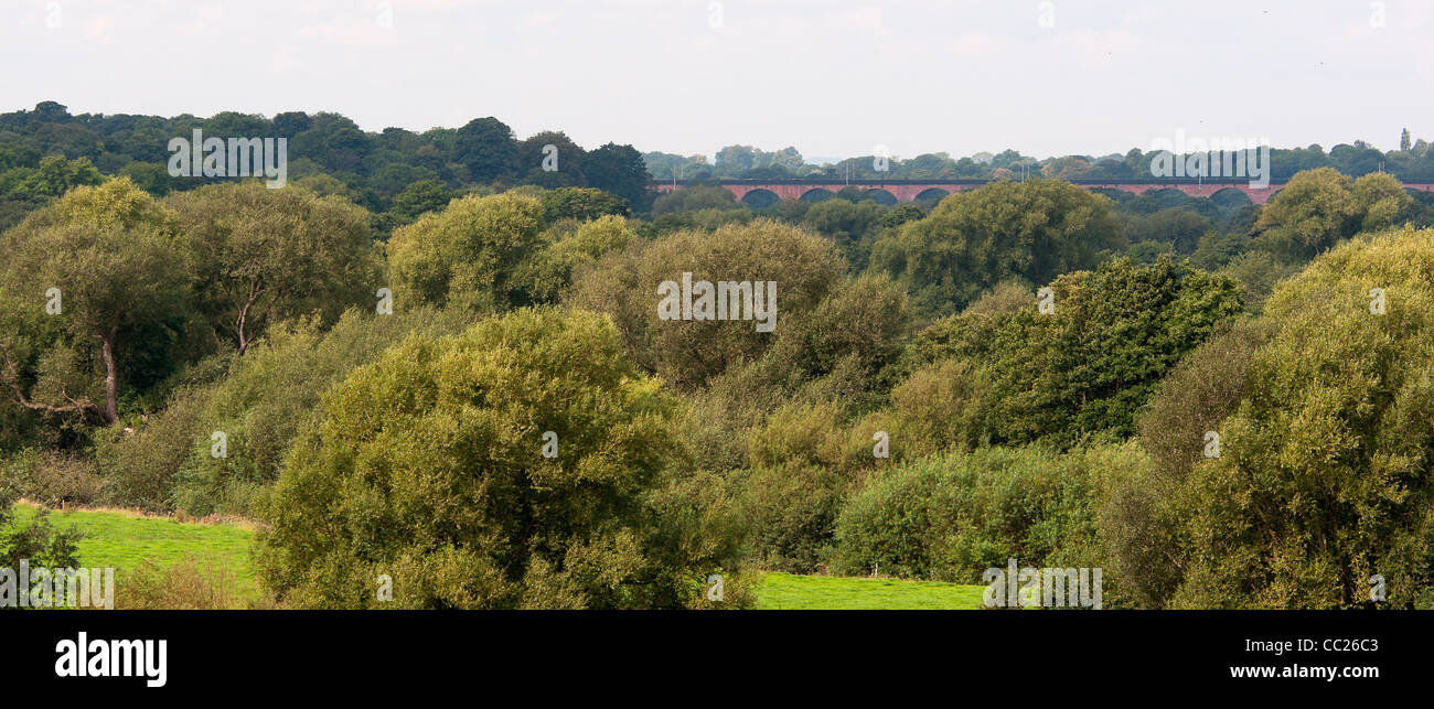 Campagne du Cheshire, avec Viaduc Twemlow en arrière-plan Banque D'Images