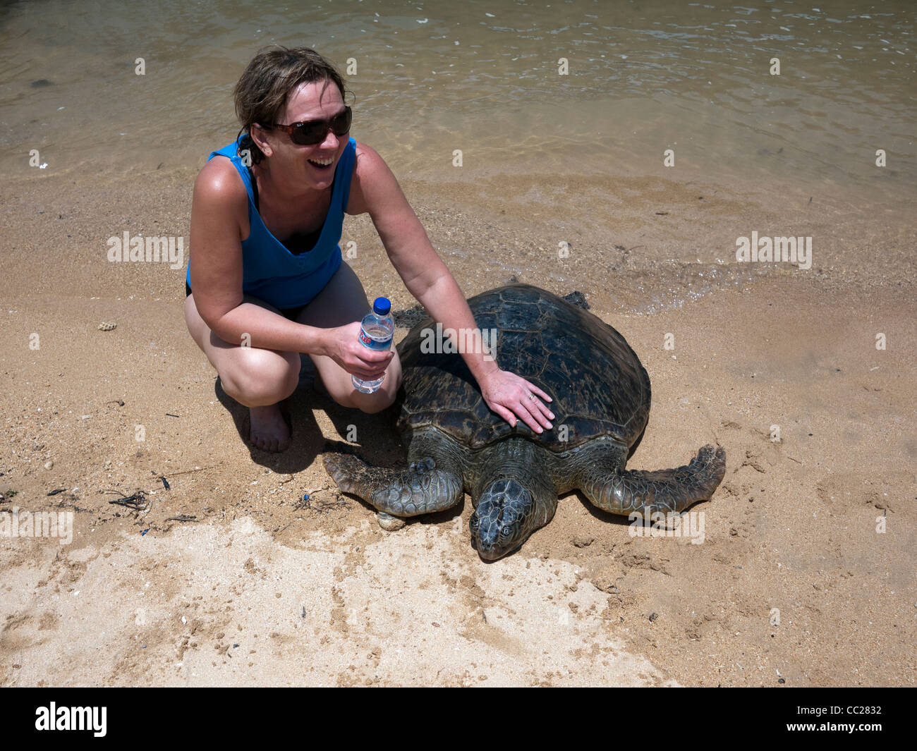 Woman on beach de toucher une tortue. Prises à Bali Banque D'Images