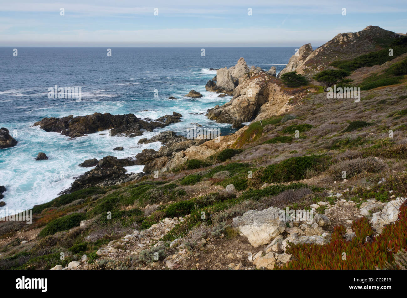 Big Sur la côte centrale, près de Monterey, Californie, Banque D'Images