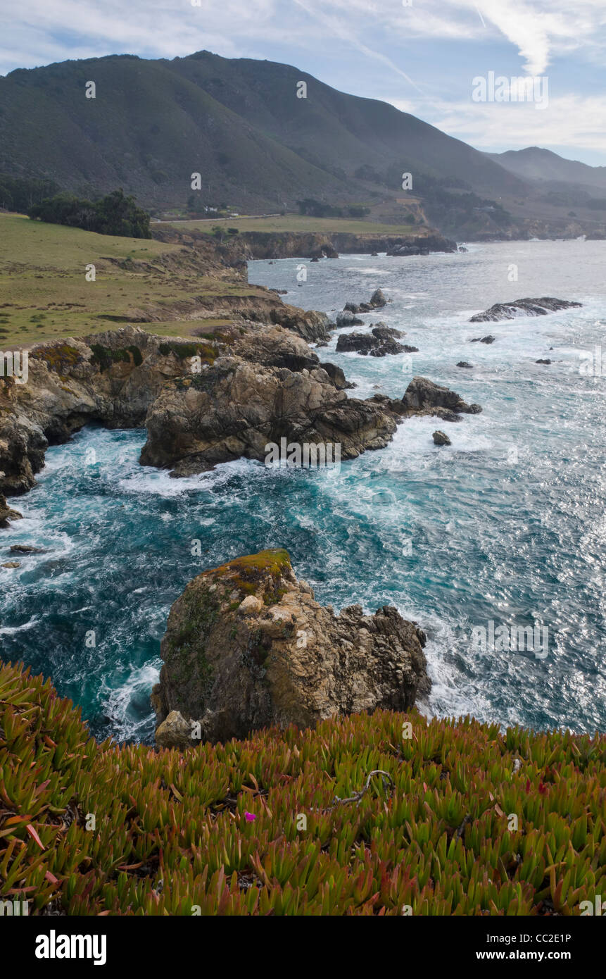 Big Sur la côte centrale, près de Monterey, Californie, Banque D'Images