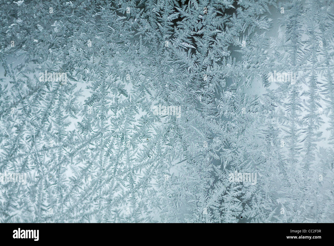 Cristaux de glace, ice gel - motif, sur une vitre gelée Banque D'Images