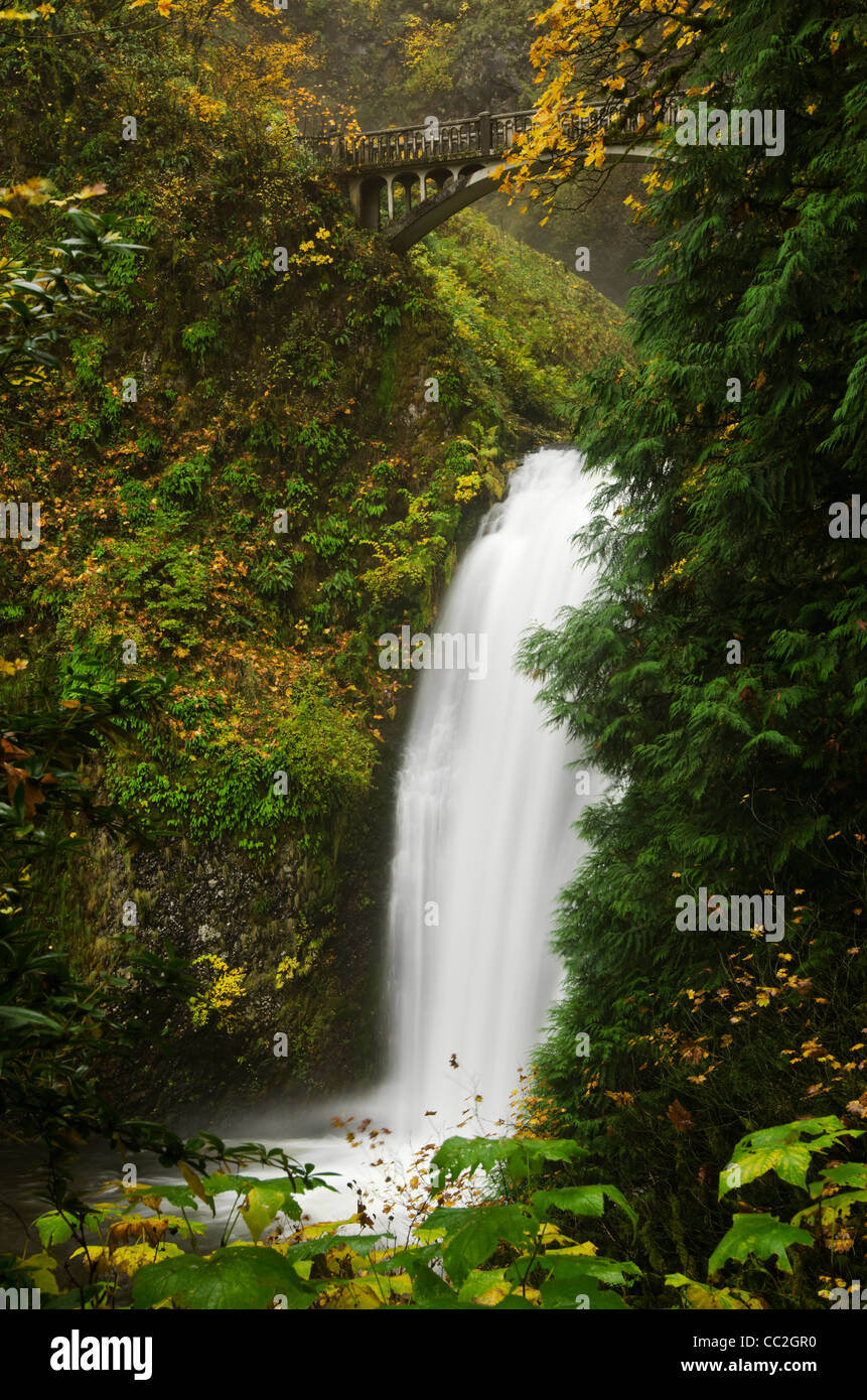 Multnomah Falls dans la gorge du Columbia Banque D'Images