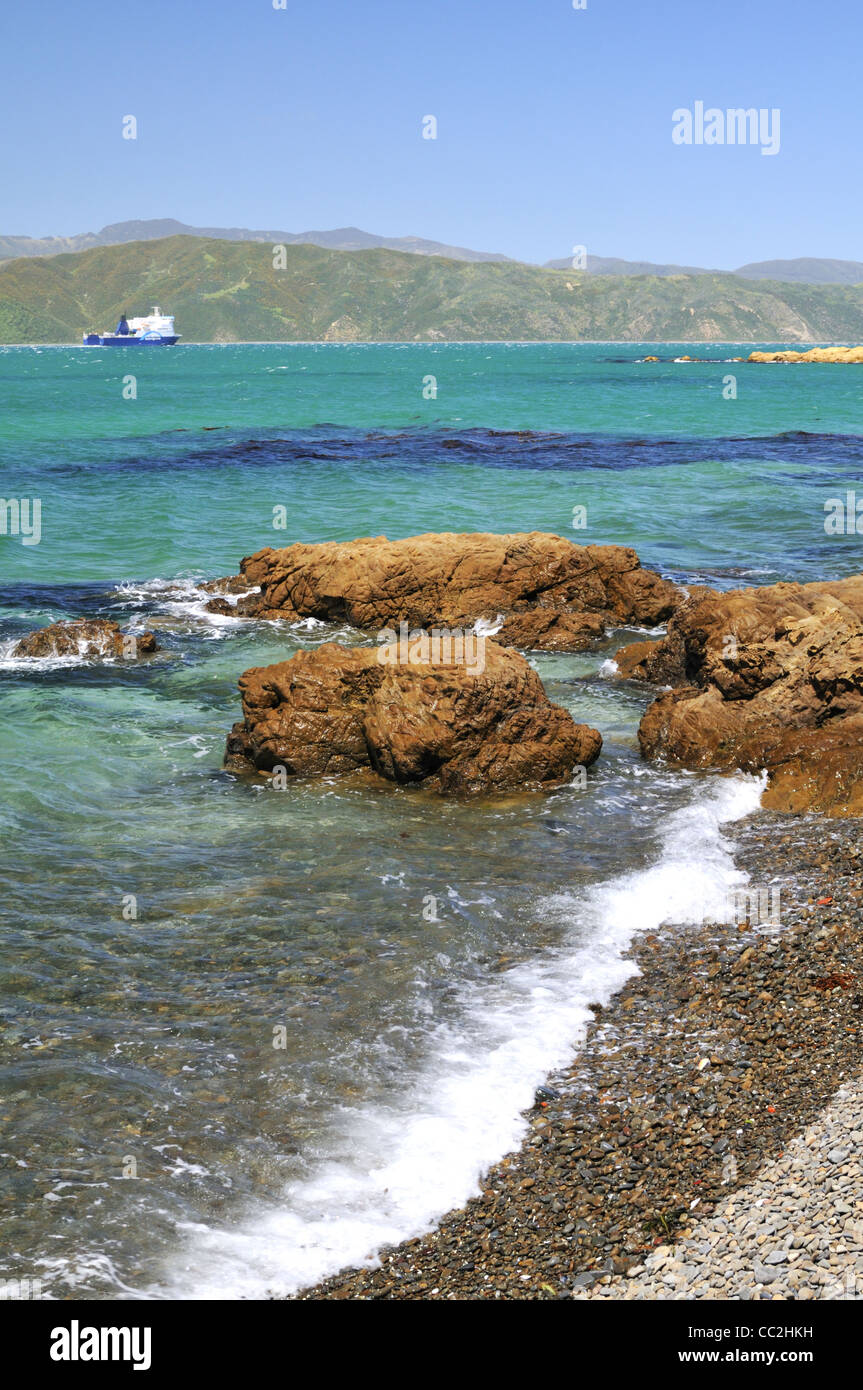 Paysage côtier avec Wellington ferry Bluebridge vedette de l'île du Sud, Nouvelle-Zélande. Banque D'Images