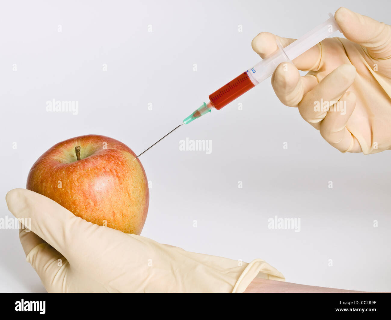 Le génie génétique, un liquide est injecté dans un apple. Banque D'Images