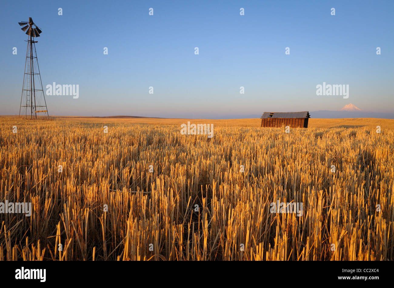 USA, Ohio, Wosco, comté rural scene avec grange solitaire Banque D'Images