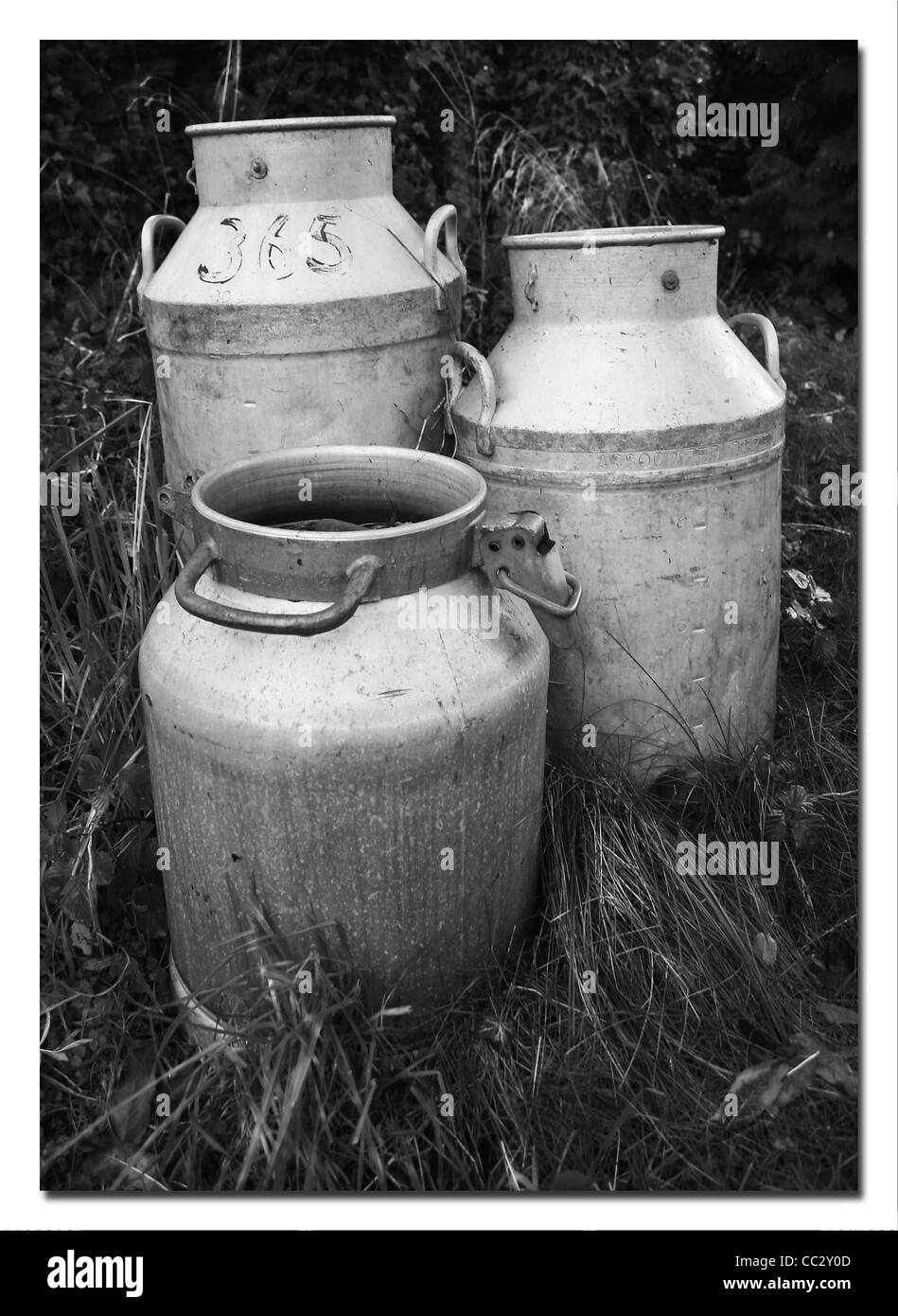 Les bidons de lait dans le Lake District Uk. Banque D'Images Les bidons de lait dans le Lake District Uk. Banque D'Images
