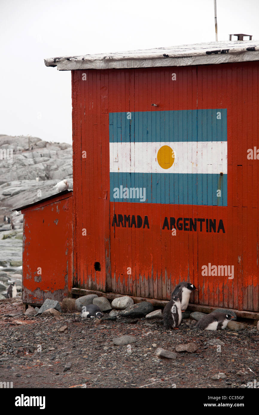 Manchots abandonnés à une base d'Argentine sur l'Île Petermann, Antarctique Banque D'Images