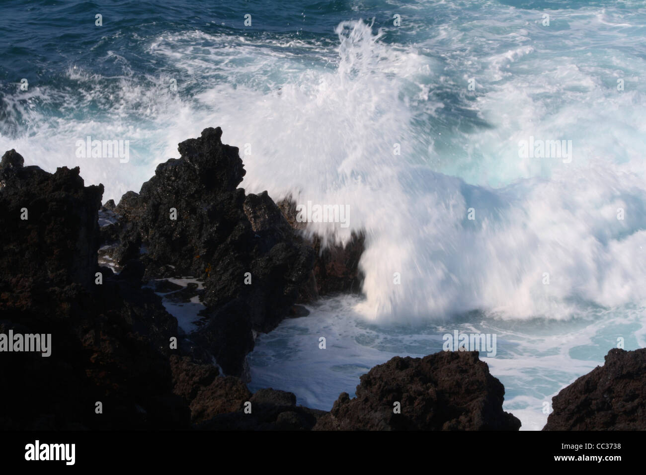 Les vagues de surf sur le littoral de lave Hawaii Banque D'Images