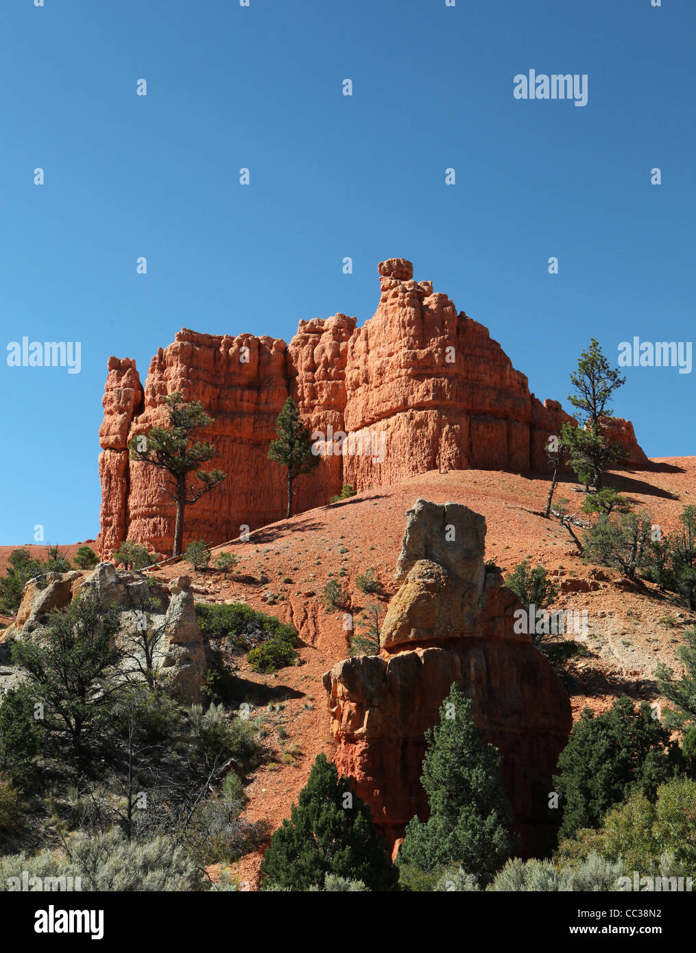 Red Canyon Recreation Ground dans le sud de l'Utah USA Banque D'Images