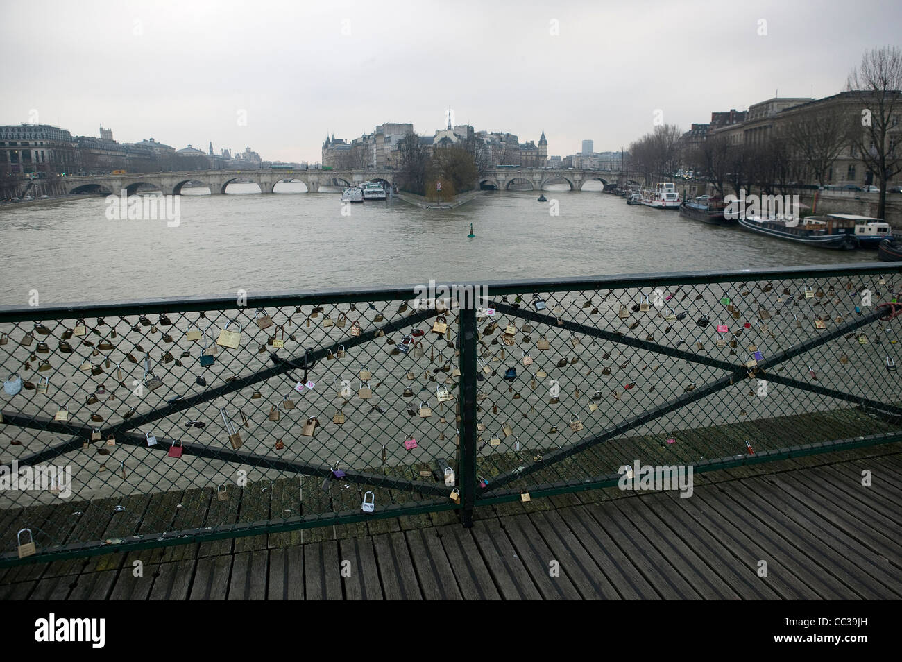 Verrous sur les amoureux de clôture, Pont des Arts, Paris, France Banque D'Images