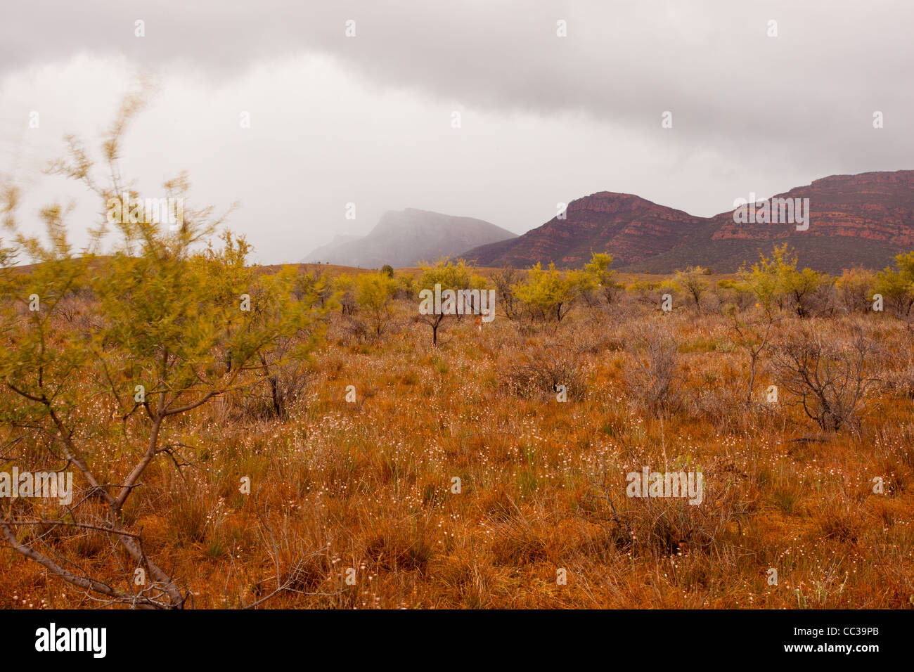 Les nuages de tempête sur le mont Ohlssen Bagge à Wilpena Pound dans la chaîne de Flinders en Australie du Sud de l'outback Banque D'Images