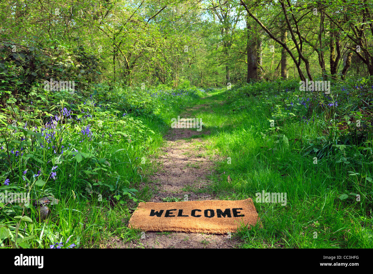 Concept photo d'un paillasson Bienvenue sur un sentier boisé au printemps en format horizontal. Banque D'Images