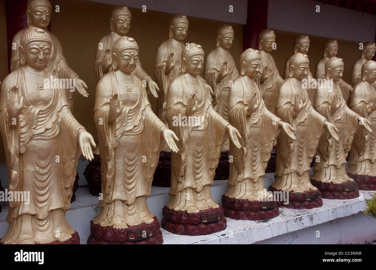 Rangées de centaines de bouddhas entourant le temple principal hall de Fo Guang Shan à Taichung Taiwan Banque D'Images