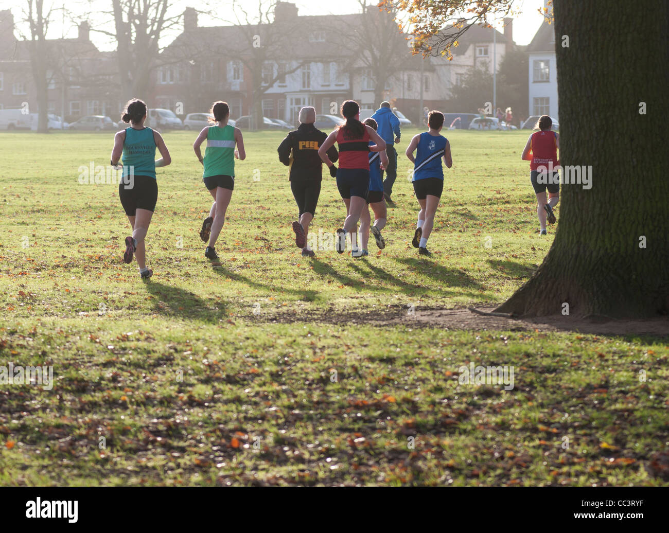 Femme cross-country race Banque D'Images