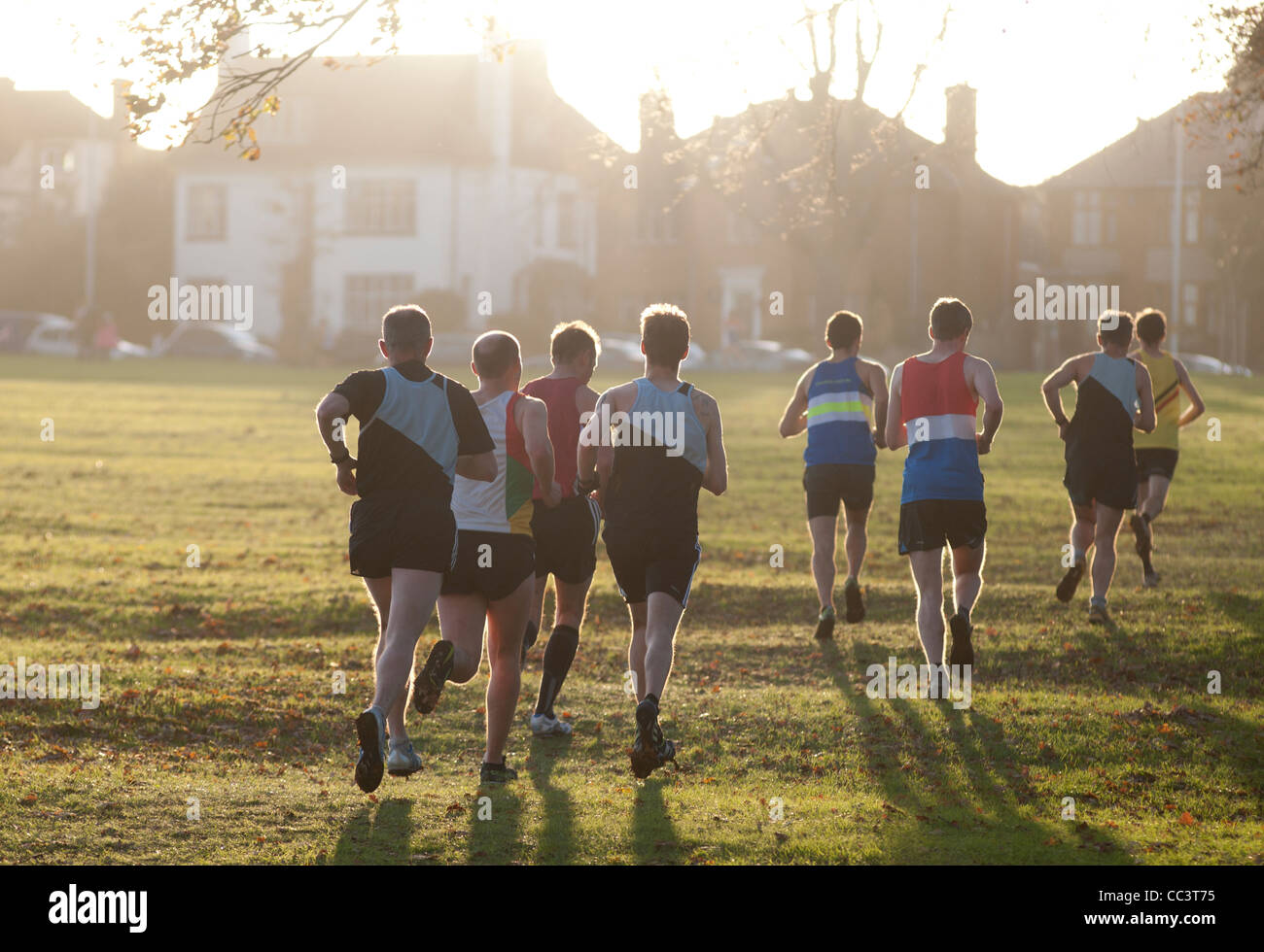 Les coureurs de cross country hommes Banque D'Images