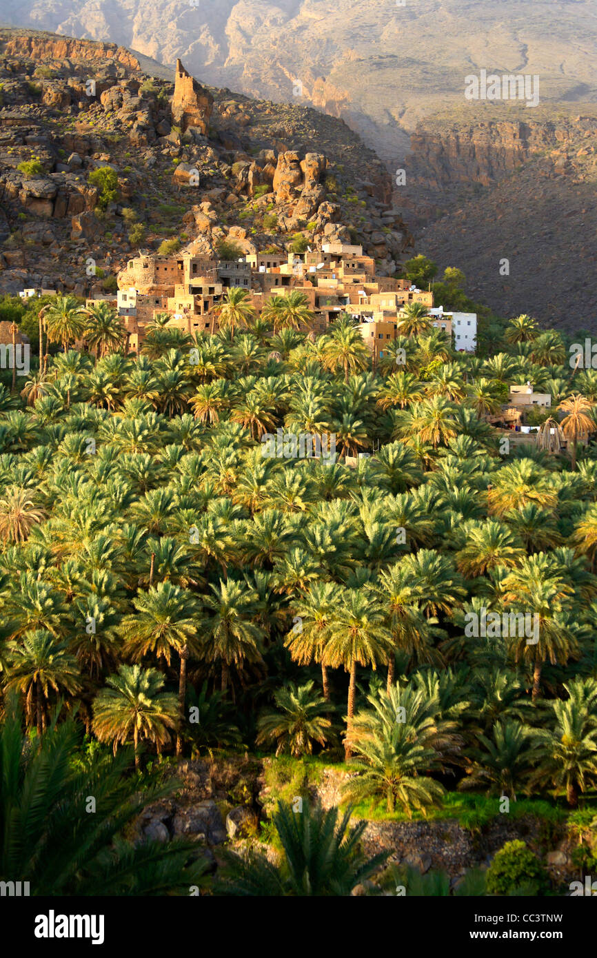 Oman, Al Dakhiliyah, In Misfat al Abriyyin village Banque D'Images