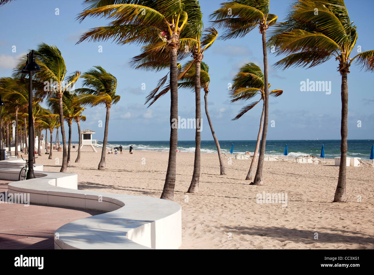 Plage de sable fin et de palmiers à Fort Lauderdale, comté de Broward, Floride, USA Banque D'Images