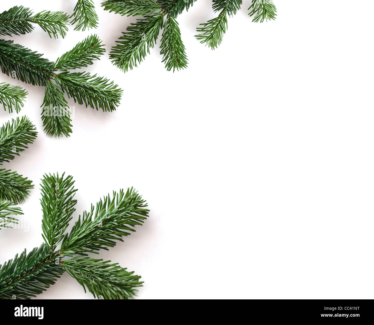 Brindilles Banque D'Images