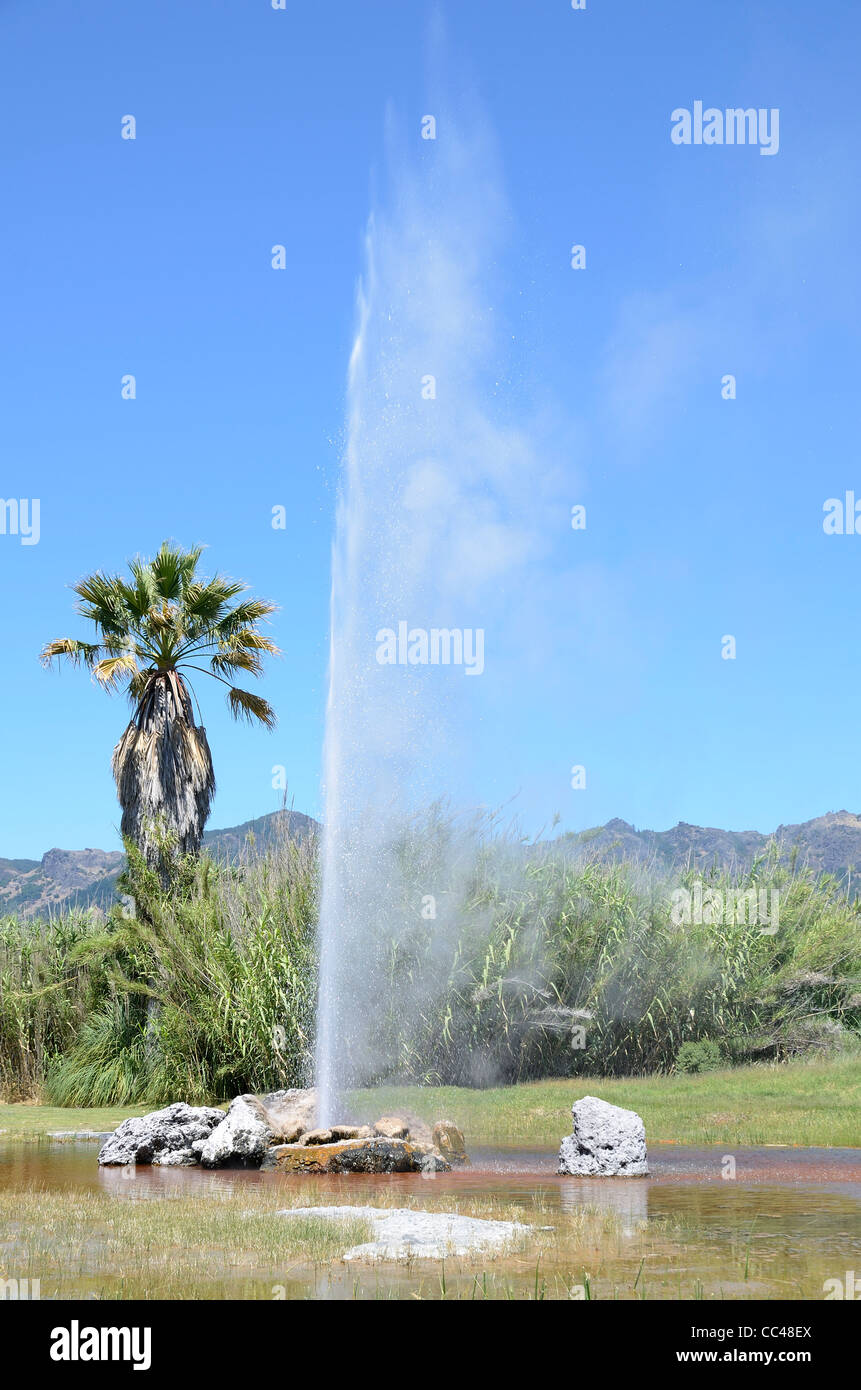 Old Faithful Geyser poussée de l'eau vapeur attraction géologique des phénomènes naturels en Californie, pour un usage éditorial uniquement Banque D'Images