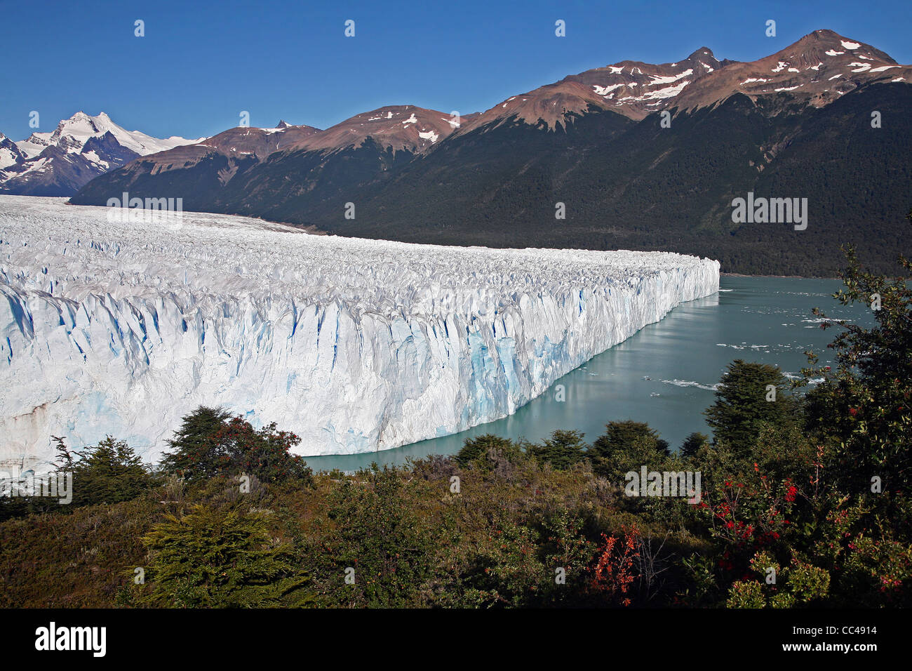 Le glacier Perito Moreno dans le Parc National Los Glaciares, Patagonie, Argentine Banque D'Images