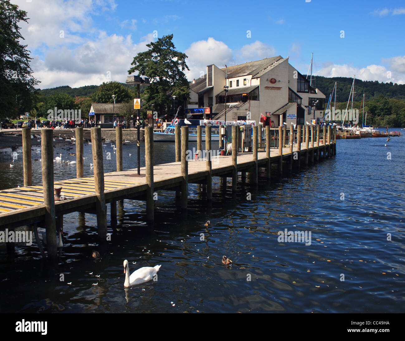 Jetée sur Windermere Banque D'Images