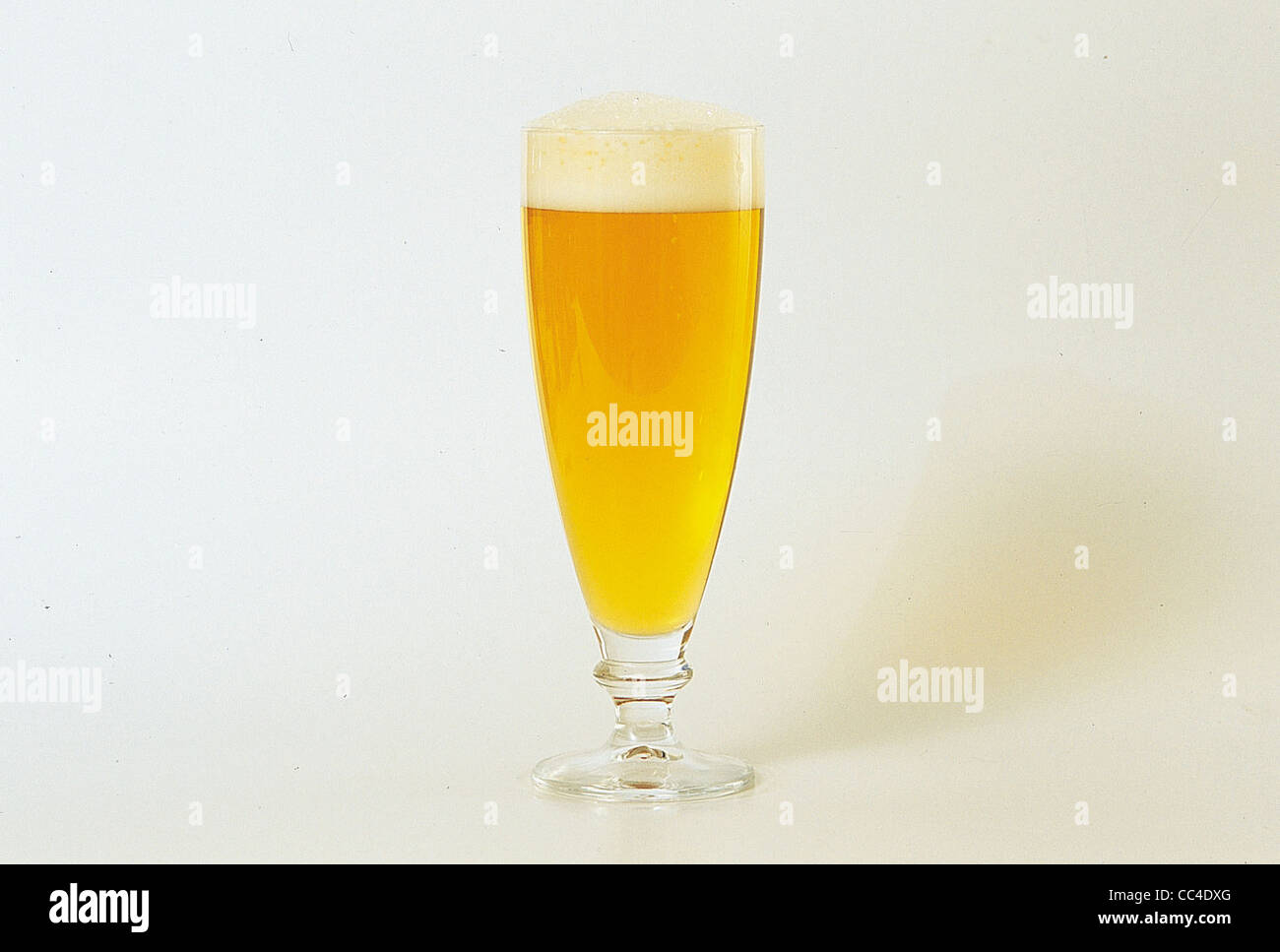 En allemand de la bière Pils Jubilaums Tulip Banque D'Images