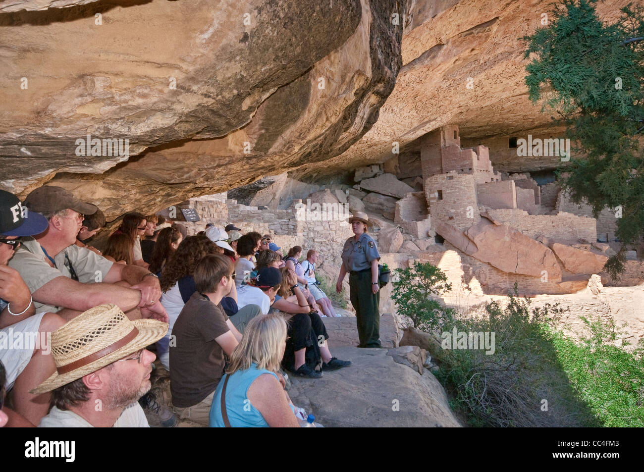 Guide du parc et les visiteurs à Cliff Palace ruins dans une alcôve à Chaplin Mesa de Mesa Verde National Park, Colorado, USA Banque D'Images