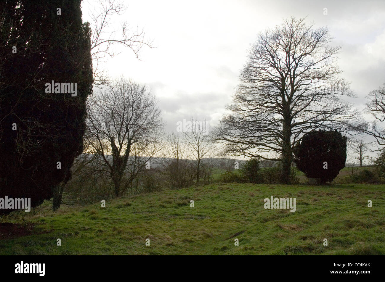 Pantglas Llanfynydd Hall à l'ouest du pays de Galles, où il n'y a temps partiel d'un complexe de 25 chalets de style suisse dans Carmarethenshire. Banque D'Images