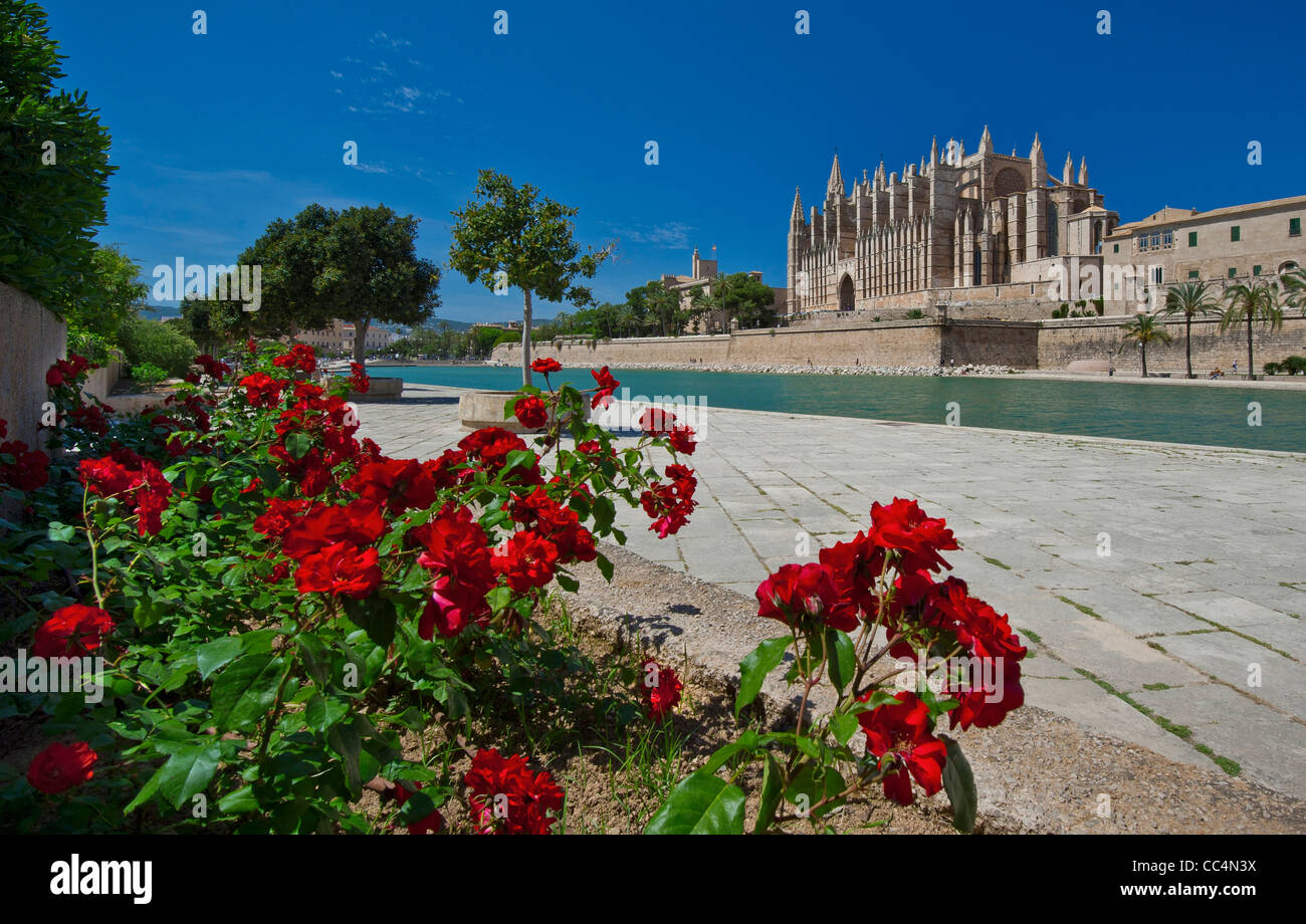 La cathédrale de Palma La Seu et Parc de la Mar vue sur mer avec red pélargonium en premier plan Majorque Baléares Espagne Banque D'Images