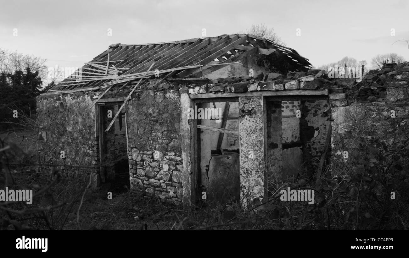 Un cottage irlandais abandonné avec un toit effondré dans un champ envahi par les ronces avec le dépassement de l'ancienne structure de la chambre. Banque D'Images