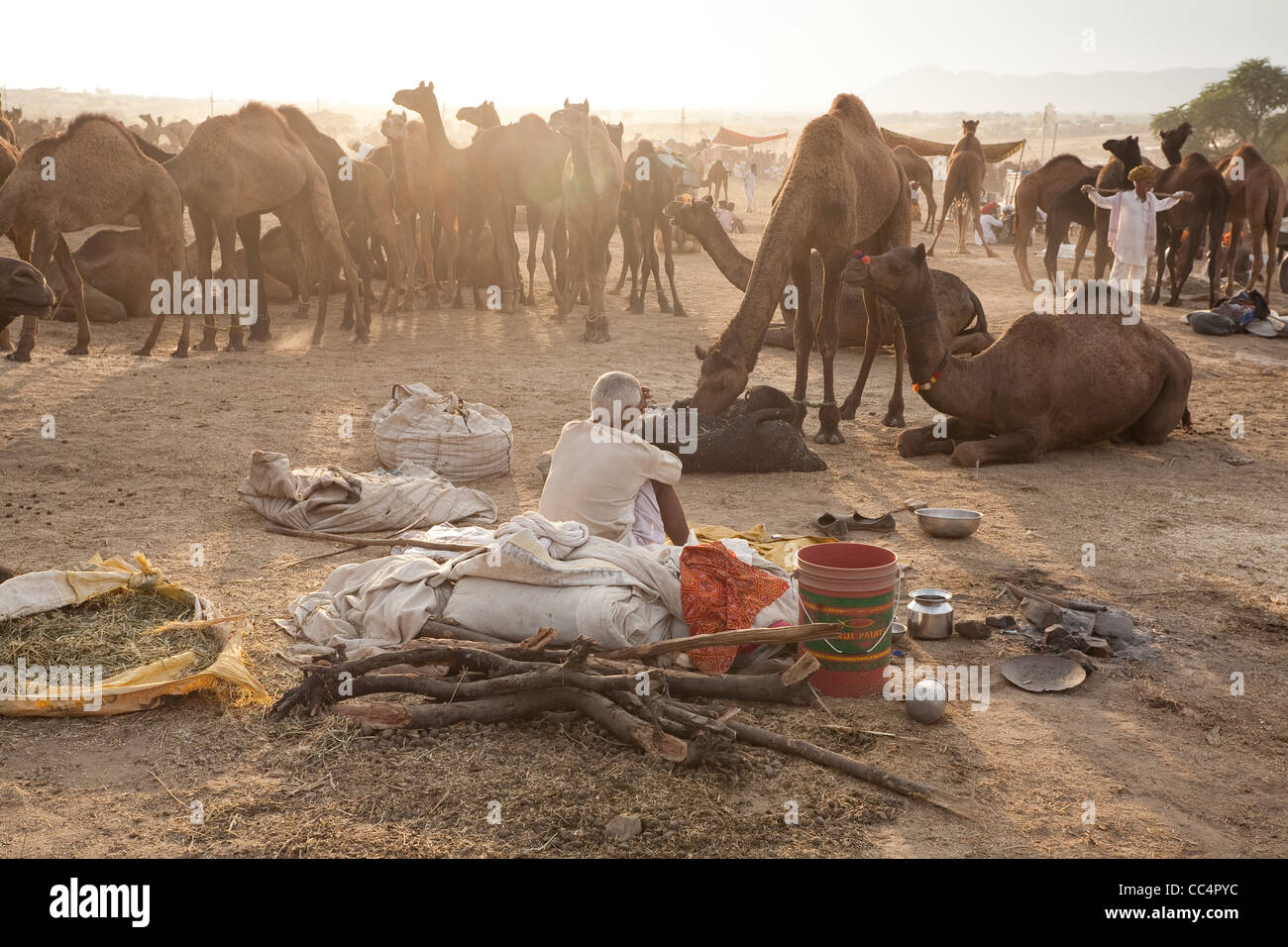 Éleveurs de chameaux à la foire de Pushkar - Rajasthan, Inde Banque D'Images