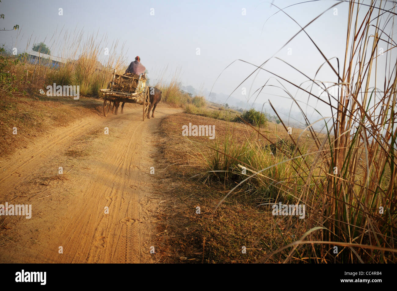 Une scène dans les régions rurales de l'ouest du Bengale, en Inde Banque D'Images