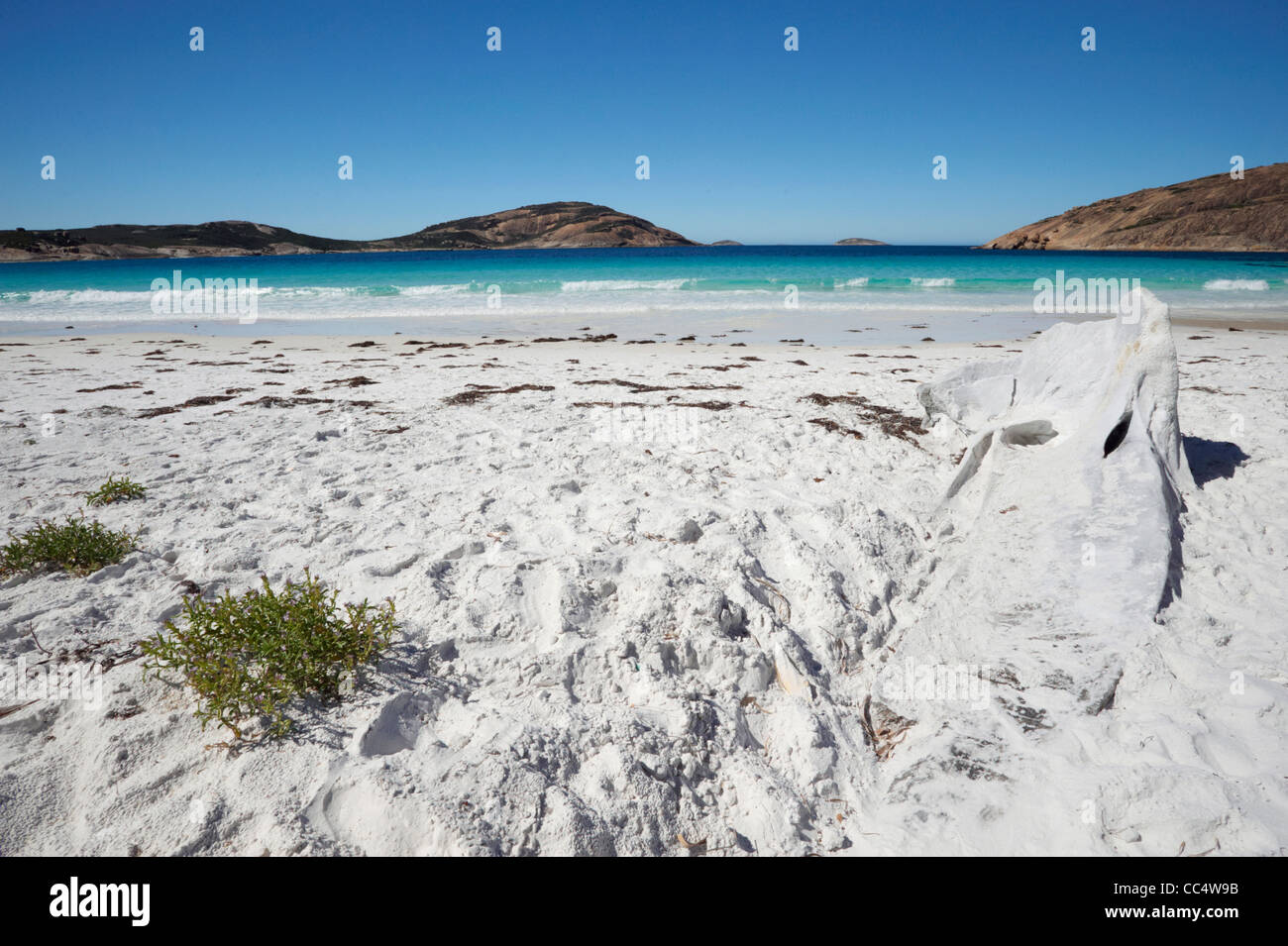 Crâne de baleine sur la plage, le Thistle Cove, Cape Le Grand National Park, Australie occidentale, Australie Banque D'Images Crâne de baleine sur la plage, le Thistle Cove, Cape Le Grand National Park, Australie occidentale, Australie Banque D'Images