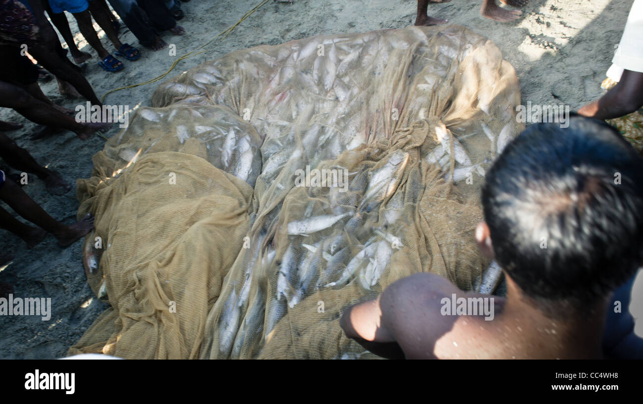 Photographie par Roy Riley à leurs filets des pêcheurs sur la plage de Kovalam au Kerala, en Inde Banque D'Images