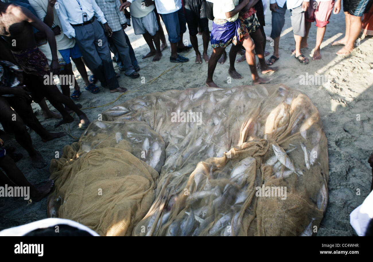 Photographie par Roy Riley à leurs filets des pêcheurs sur la plage de Kovalam au Kerala, en Inde Banque D'Images