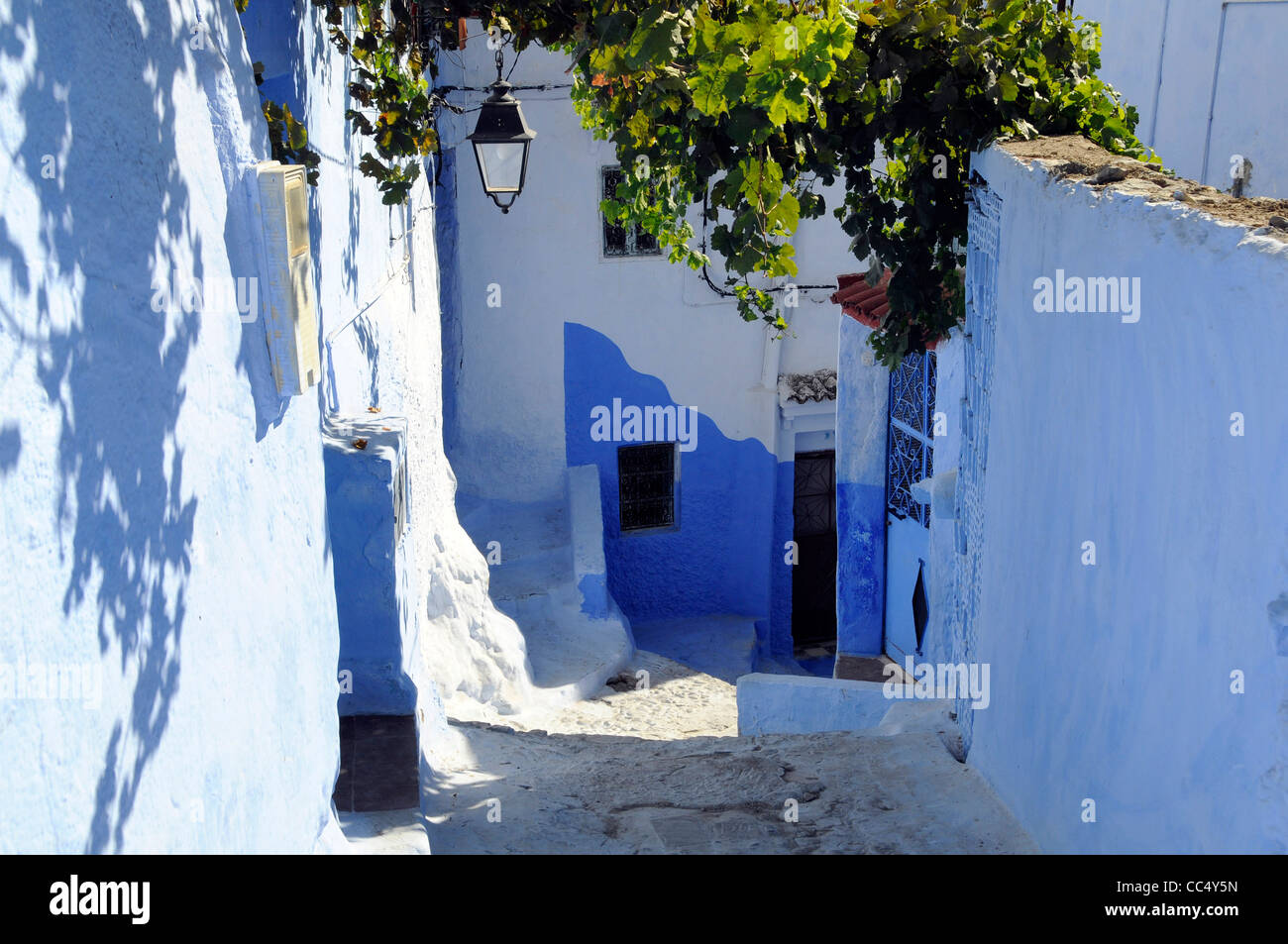 Scène de rue à Chefchaouen, également connu sous le nom de Chaouen, un petit village avec des murs peints en blanc et bleu dans le nord du Maroc. Banque D'Images