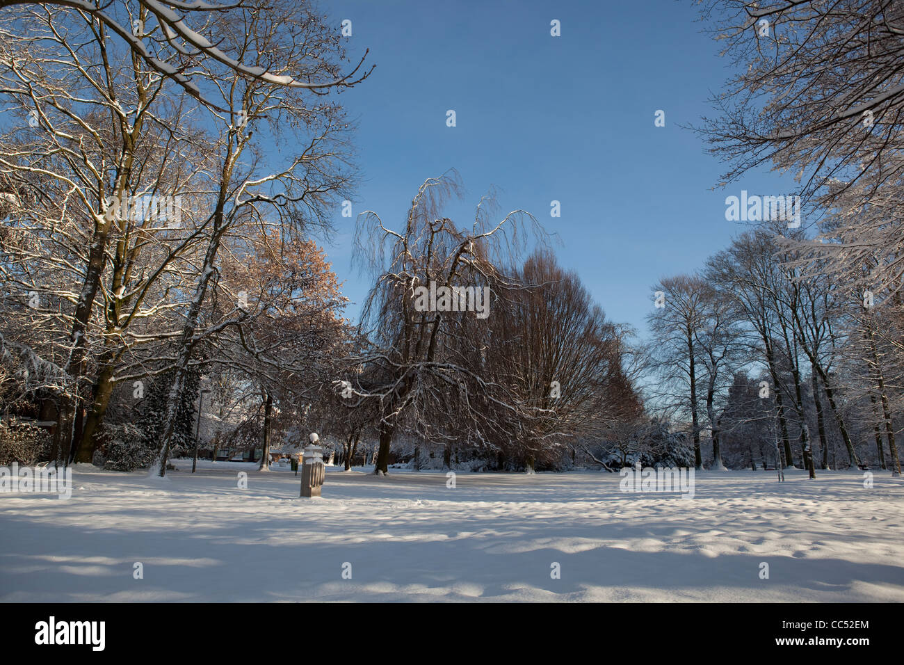 Voir d'Walburgh park dans la ville flamande de Sint-Niklaas en Belgique. Les arbres sont couverts de neige. Banque D'Images