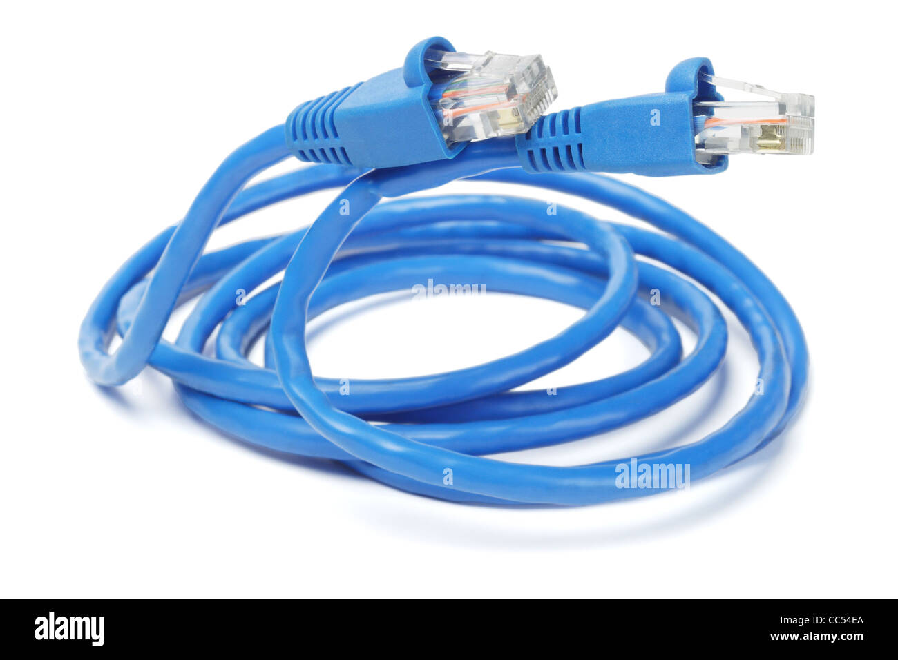 Close Up de câble réseau bleu et fiches sur fond blanc Banque D'Images Close Up de câble réseau bleu et fiches sur fond blanc Banque D'Images