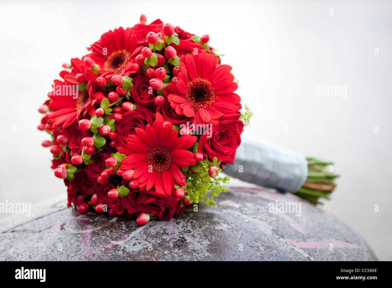 Roses rouges et herbera fleurs en fond blanc. Banque D'Images
