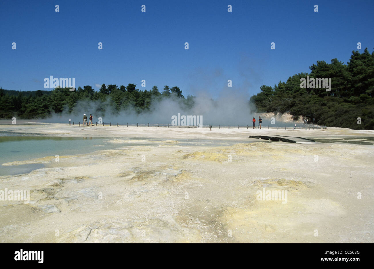 Nouvelle zélande Rotorua Wai-O-Tapu thermal wonderland Champagne Pool Banque D'Images