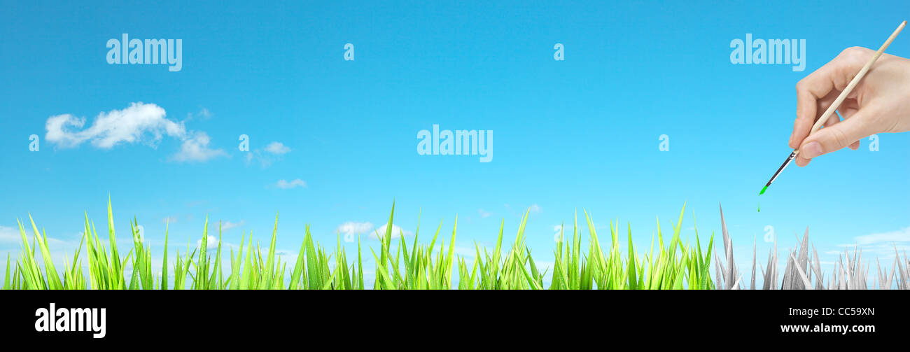 A vous de faire de ce monde magnifique vert. Composition panoramique avec beaucoup d'espace de copie. Banque D'Images A vous de faire de ce monde magnifique vert. Composition panoramique avec beaucoup d'espace de copie. Banque D'Images