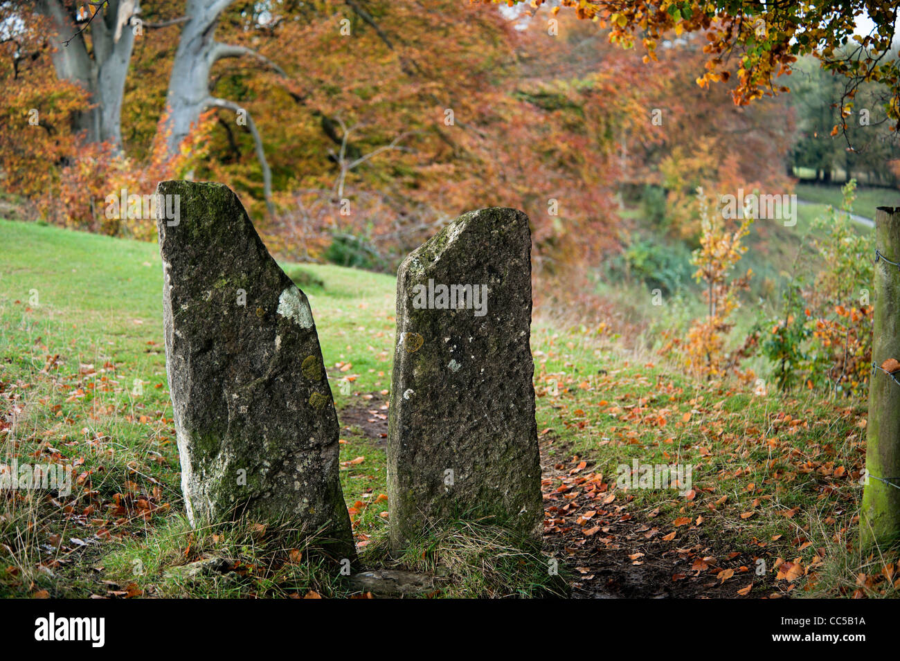 Stile, Besbury squeeze en pierre, Commune Minchinhampton, Gloucestershire Banque D'Images