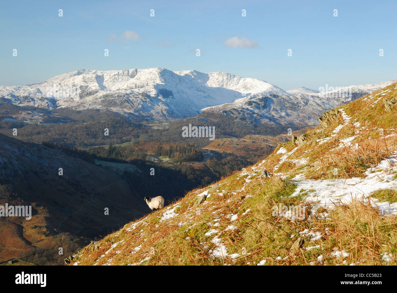 Vue vers les montagnes couvertes de neige de Coniston Seigneur Crag dans le Lake District Banque D'Images