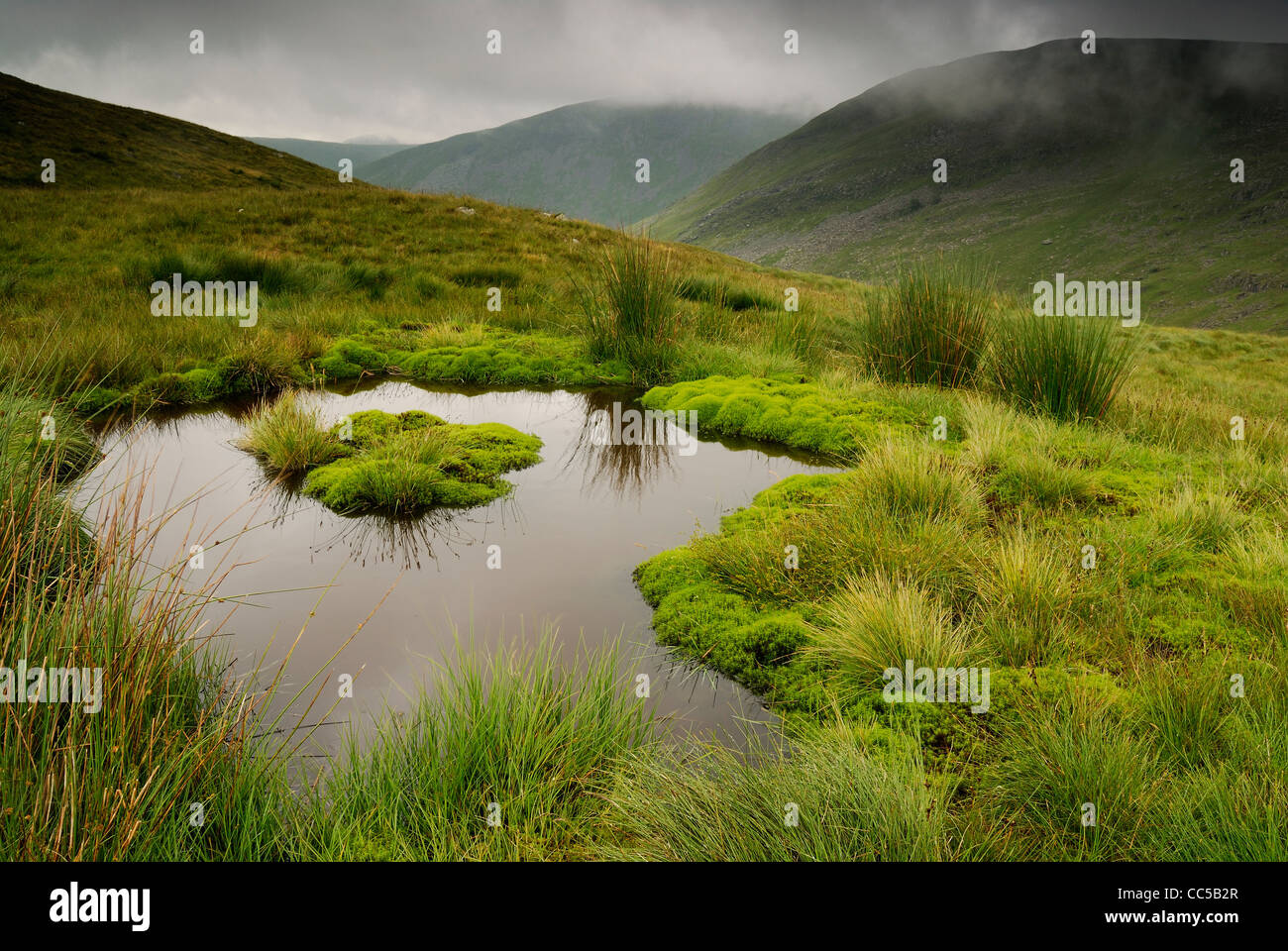 Petit Scandale sur tarn passer dans le Lake District Banque D'Images